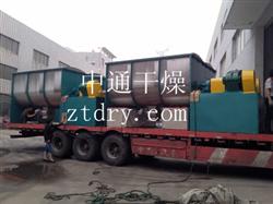 WLDH系列臥式螺帶混合機(jī)